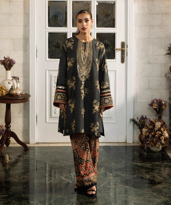 EMBROIDERED KARANDI SHIRT