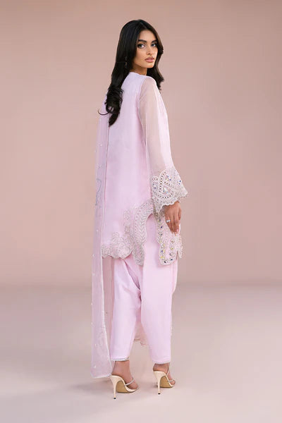 FR-05  Cotton net and raw silk  3pc